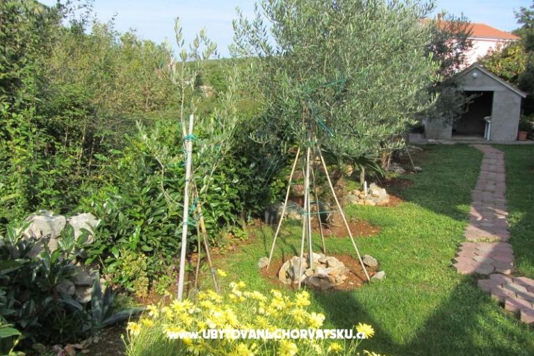 Apartmani Perišić – foto 16