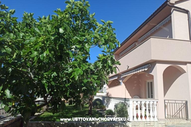 Apartmani Vesna – foto 2