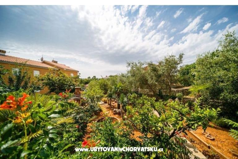 Apartmani Božena – foto 18