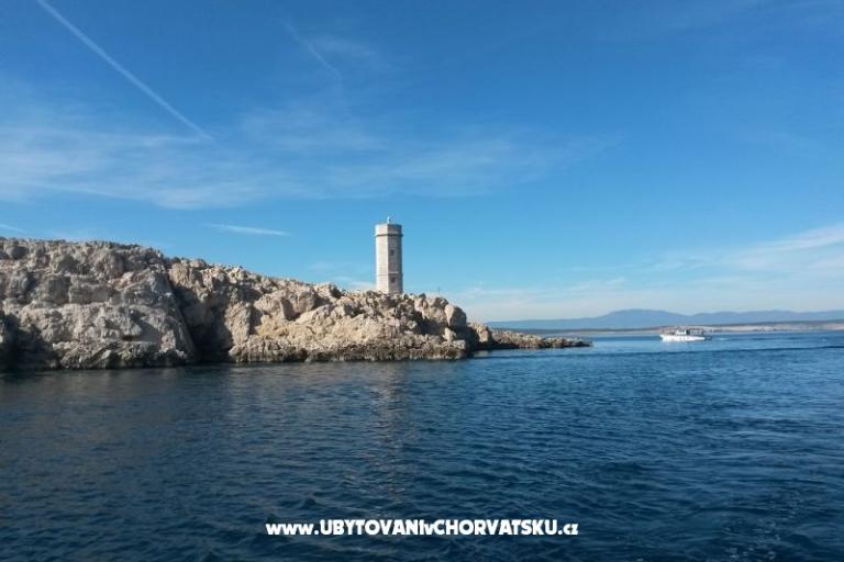 Apartmani Vila Maslina – foto 16