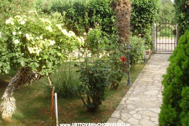 Apartman Mihael + free boat trip – foto 16