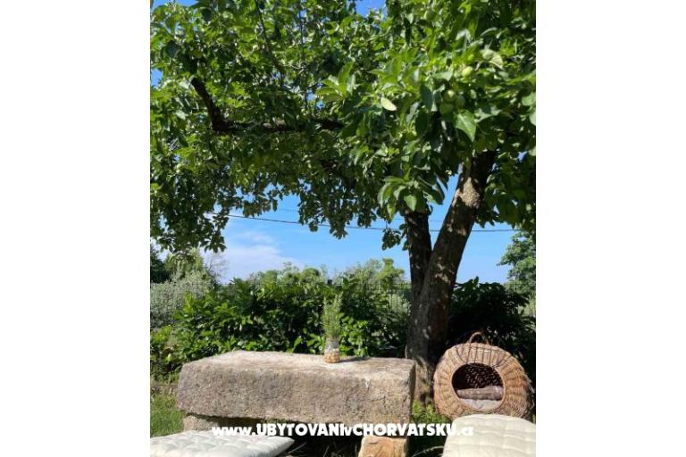 Kuća za odmor Bepina – foto 24