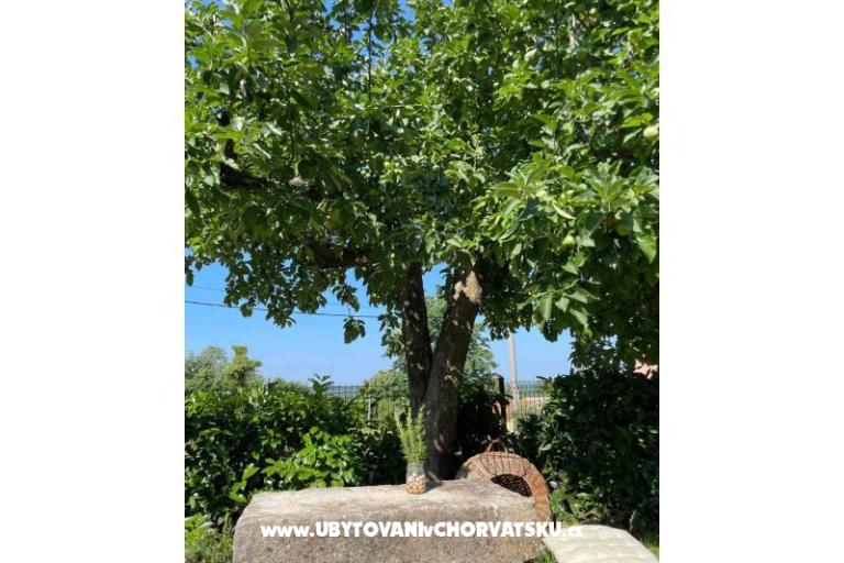 Kuća za odmor Bepina – foto 27