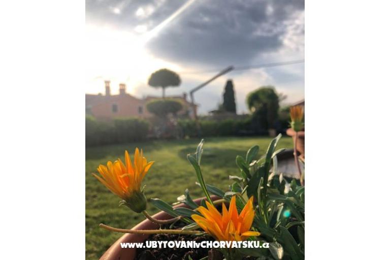 Kuća za odmor Bepina – foto 29