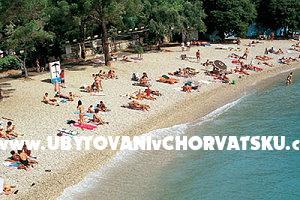 Adria Lovran  – foto 7