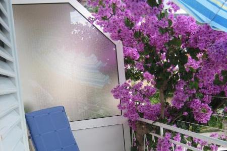 Apartman Bojana – foto 2