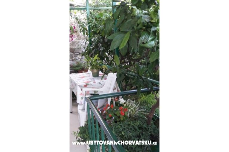 Apartman Olga – foto 11