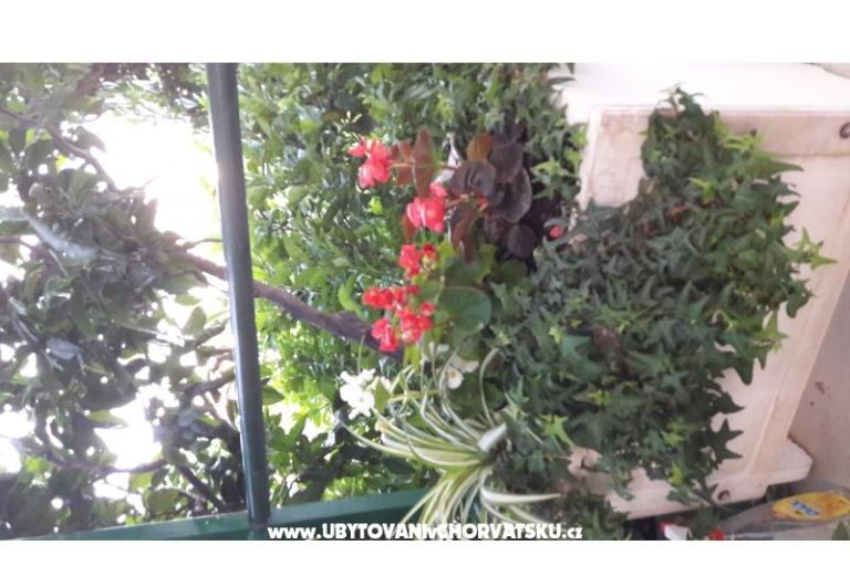 Apartman Olga – foto 9