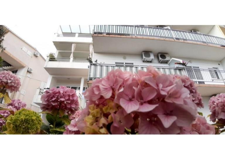 Apartmani Antunović – foto 7