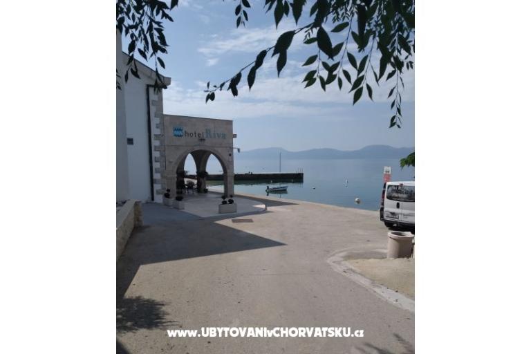 Apartmani Dalmata – foto 12