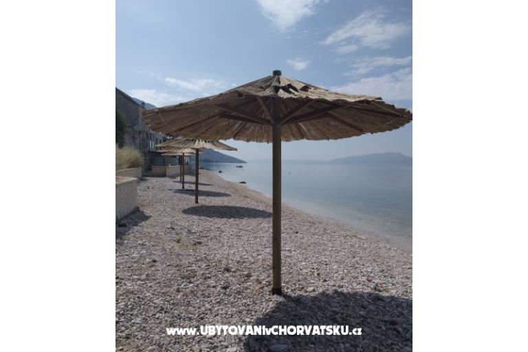Apartmani Dalmata – foto 6