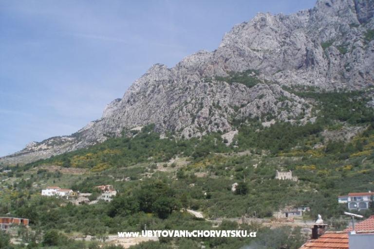 Apartmani Mileta – foto 18