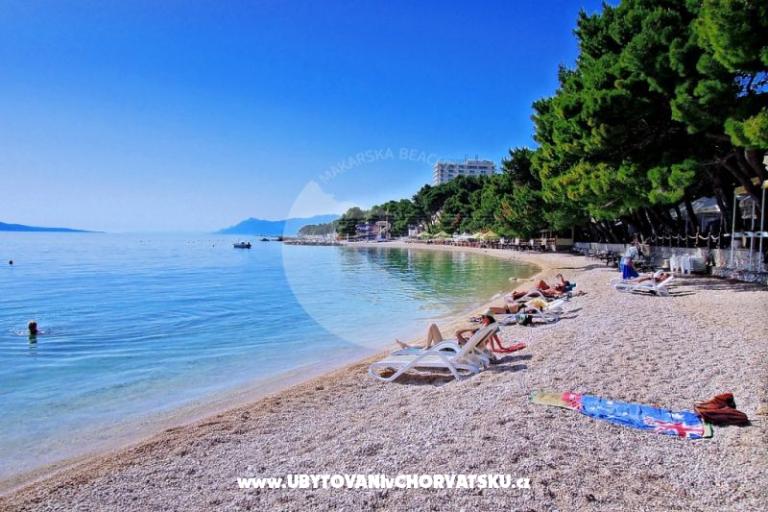 Apartmani Neva plaža – foto 6