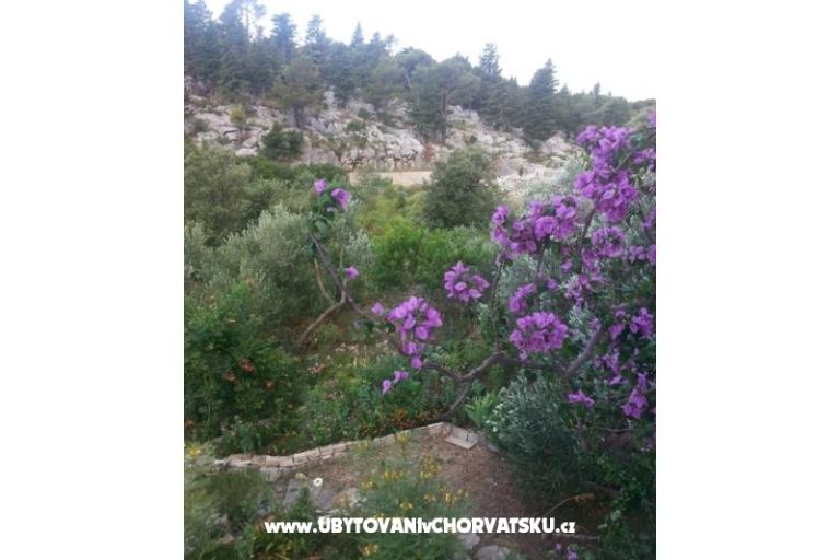 Apartmani Rubinić – foto 15
