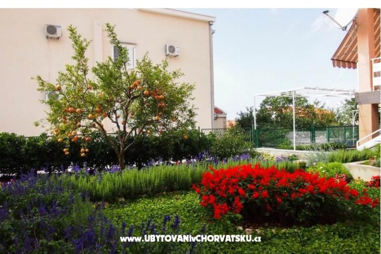 Apartmani Vrpolje  – foto 2