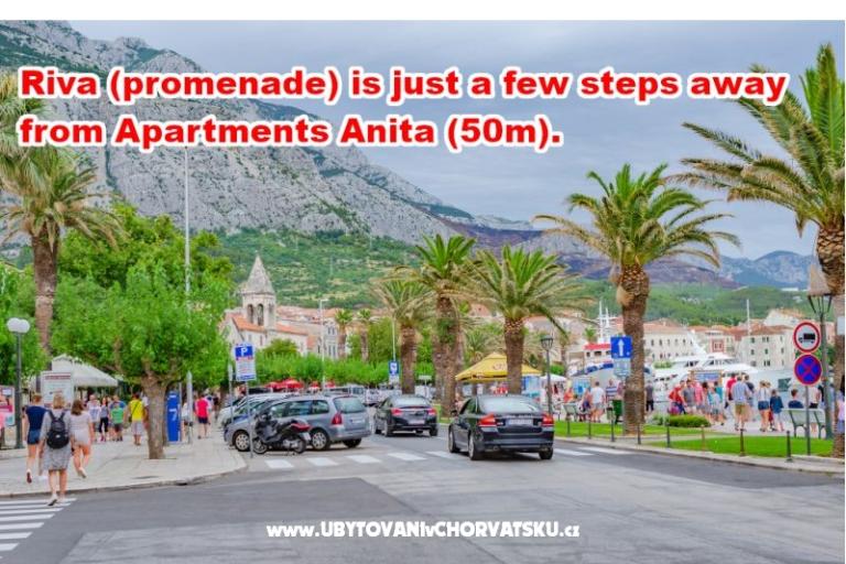 Apartmani Anita - Center – foto 17