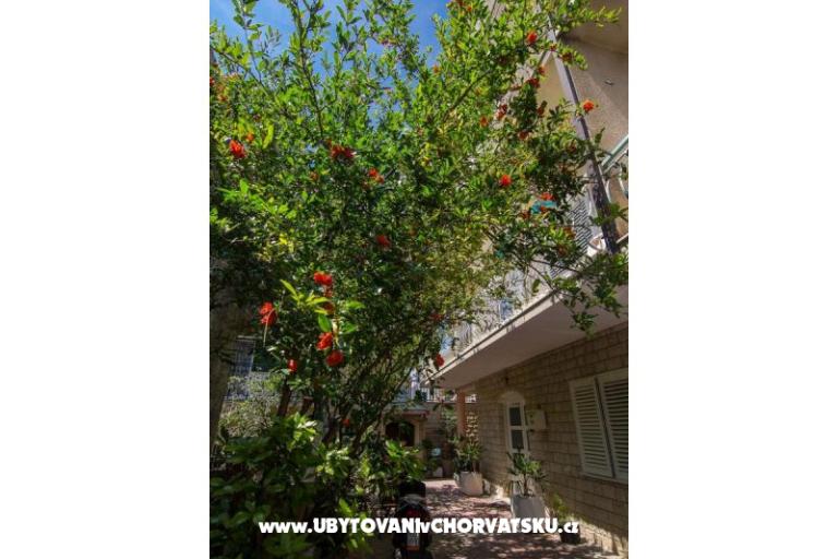 Apartmani A&amp;B – foto 16