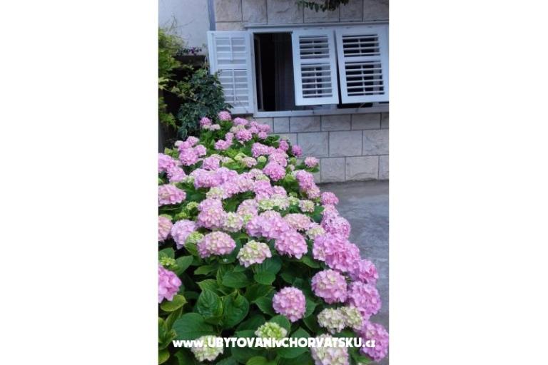 Apartmani Jele – foto 7