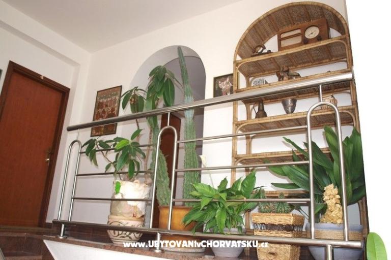 Apartmani Mihić – foto 14