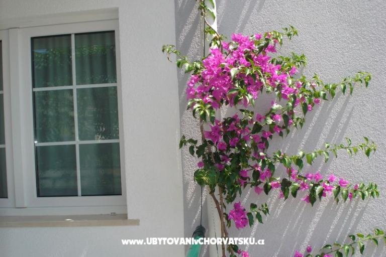 Apartmani Milic – foto 16