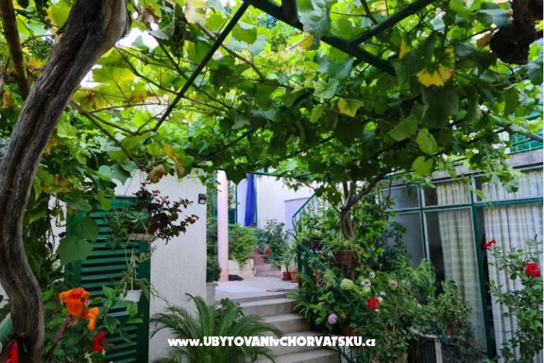 Apartmani Vinea – foto 2