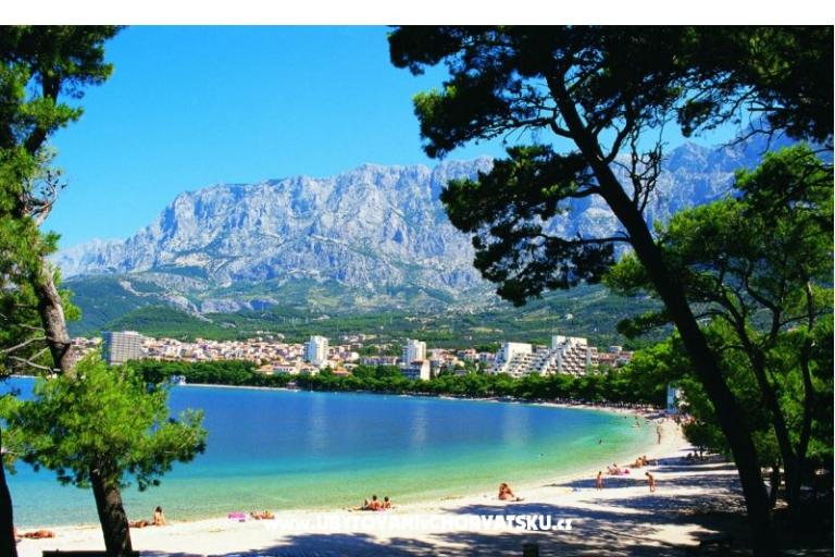 Kuća Erceg – foto 14