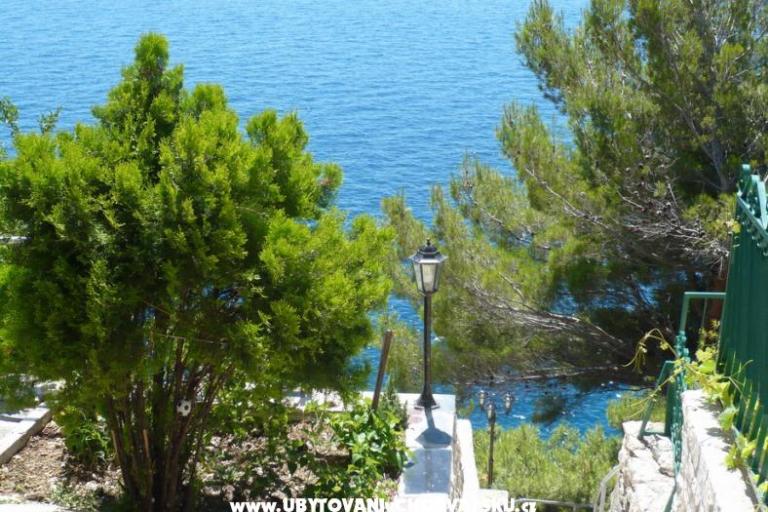 Apartmani Sliskovic, 1. line to sea – foto 8