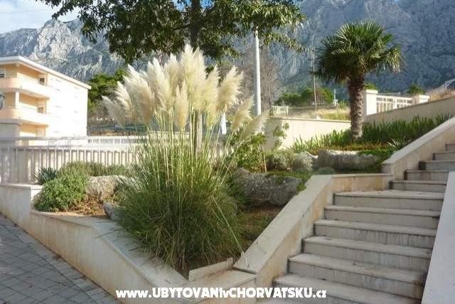Villa Iva – foto 14