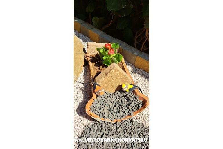 Apartmani Avvi – foto 23
