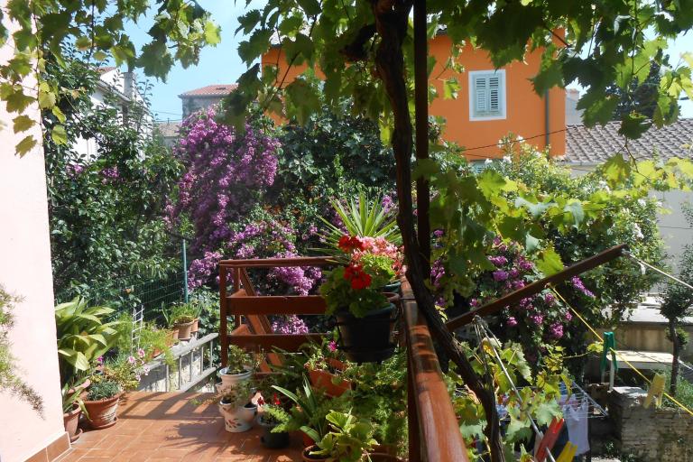 Apartmani  Vodarić – foto 8
