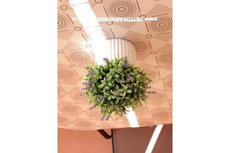 Apartmani Ivanka – foto 15