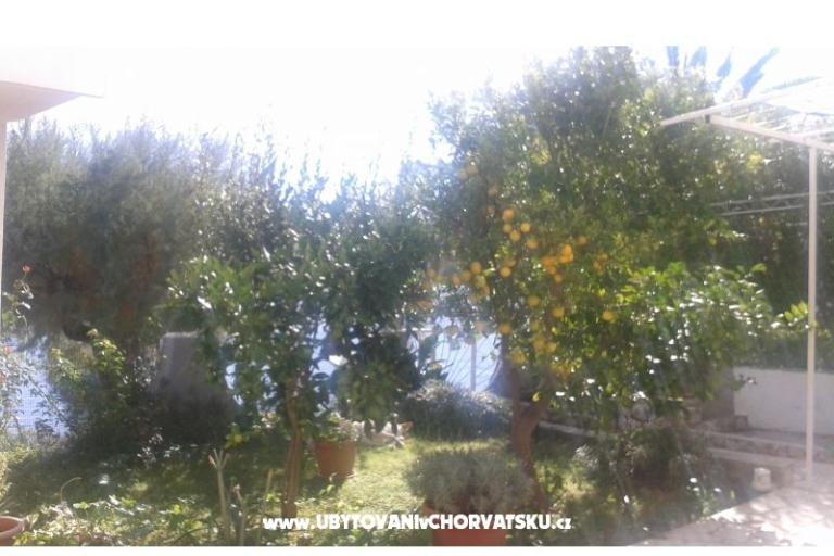 Apartmani Neves – foto 13