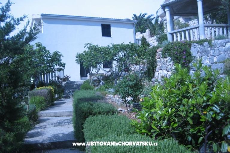 Apartmani Punta  – foto 2