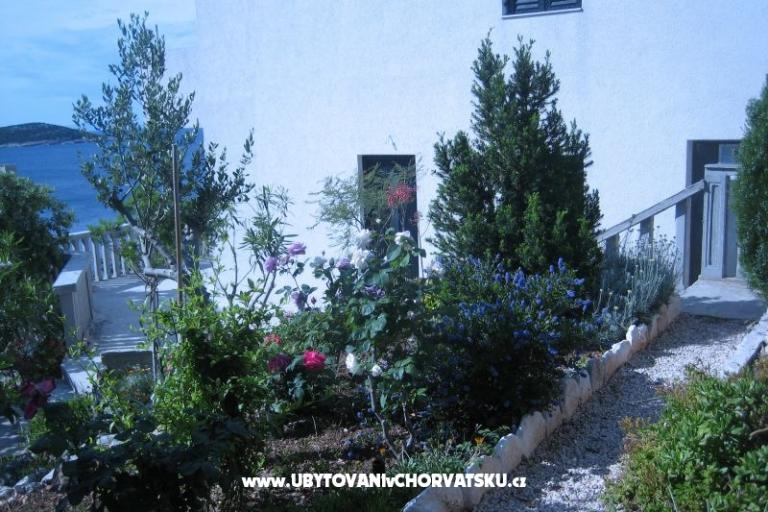 Apartmani Punta  – foto 5
