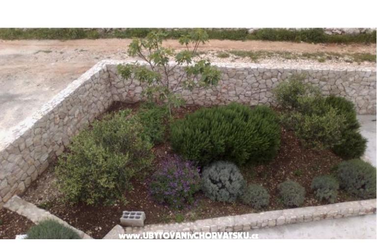 Apartman  Darija – foto 15