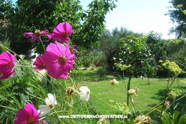 Apartmani Mira &amp; Vinko – foto 17