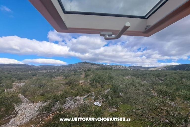 Green Kuća (Dogs are welcome) – foto 7