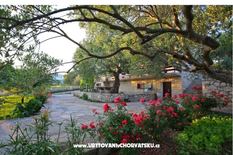 Apartmani Nekic  – foto 7