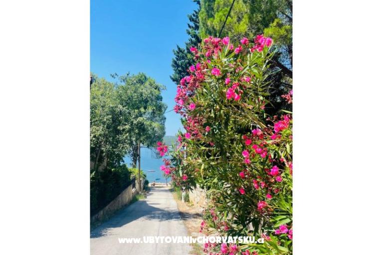 Kuća za odmor Martina – foto 23