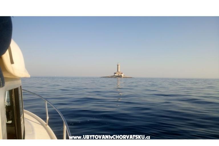 Apartmani Ciceran – foto 32