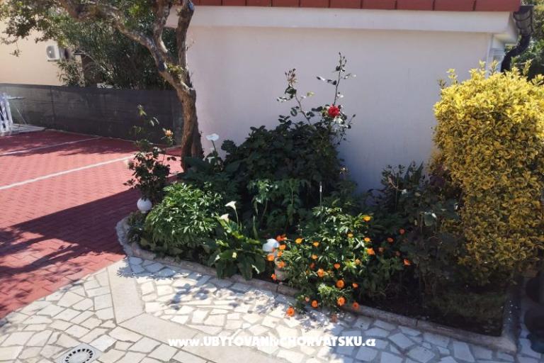Apartmani Mila-Casa Bianca  – foto 6