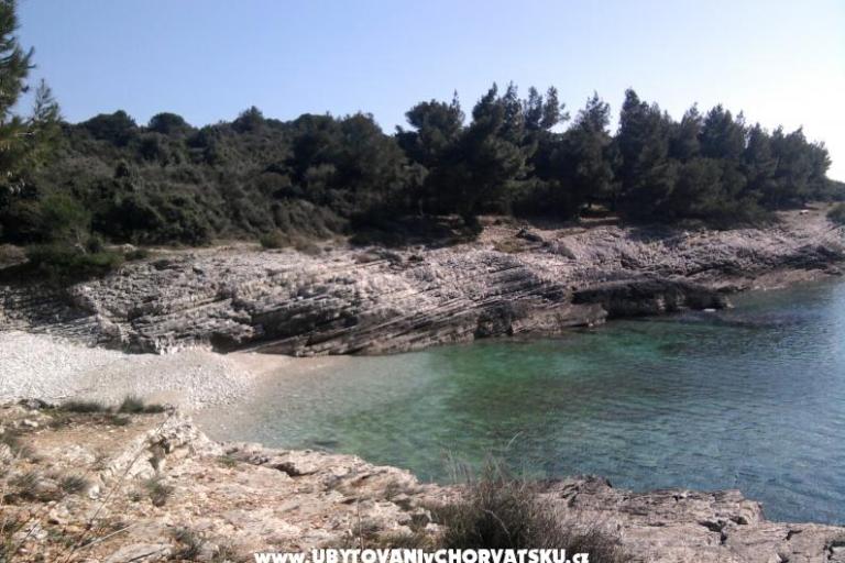 Apartmani Croatia – foto 8