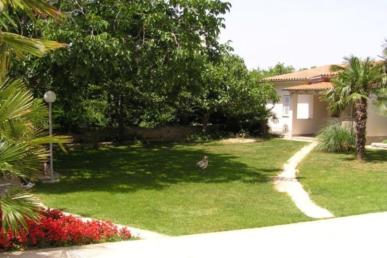 Apartmani Paloma blanca - Oaza Reg – foto 10