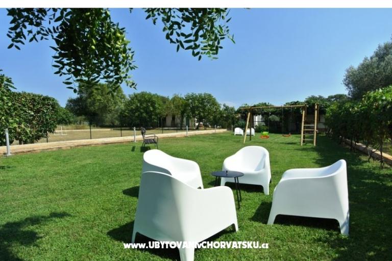 Apartmani Sofia – foto 6