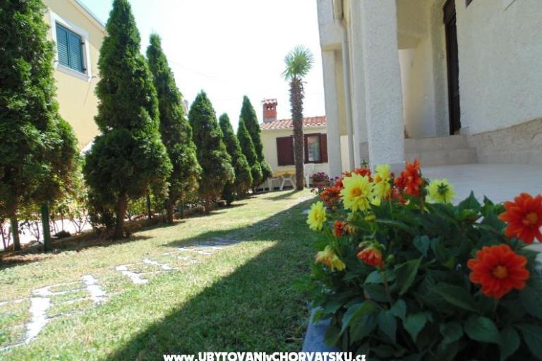 Apartmani Regi – foto 8