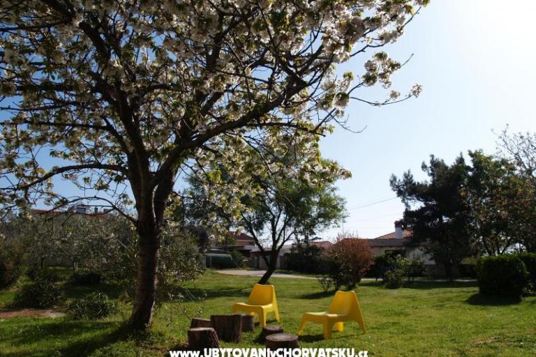Comtemporary Apartman – foto 15