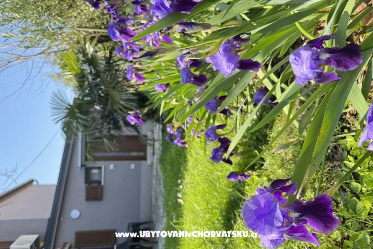 Flowers Apartman Medulin, Fucane 2 – foto 15