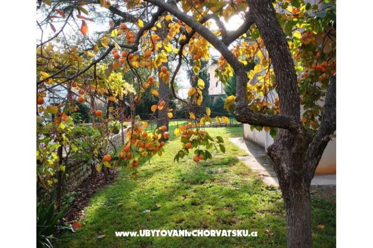 Flowers Apartman Medulin, Fucane 2 – foto 4