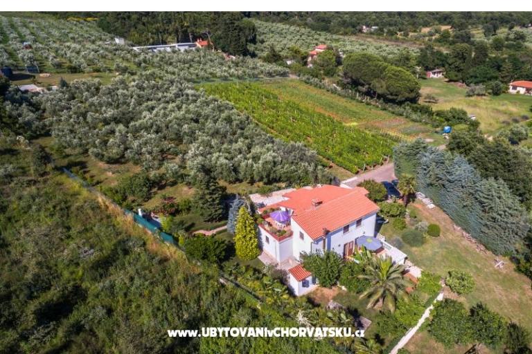 Kuća Vencel – foto 15