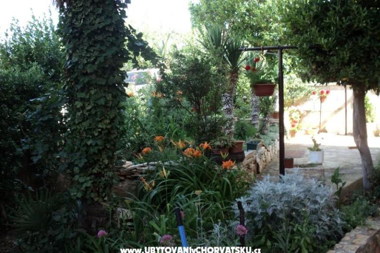 Kuća Pacic – foto 14